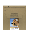 EPSON EasyMail MP Cheetah-DURABrite Ultra N C M J - nr 21