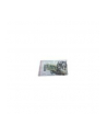 super micro computer SUPERMICRO Screw Bag for 3.5inch HDD Tray MCP-410-00005-0N - nr 3
