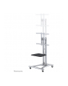 NEWSTAR Mobile Flatscreen Floor Stand height 80-180 cm - nr 13
