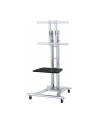 NEWSTAR Mobile Flatscreen Floor Stand height 80-180 cm - nr 16