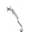 NEWSTAR FPMA-D750SILVER NewStar Uchwyt Nabiurkowy do Monitora FPMA-D750 SREBRNY - nr 25