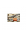 LACIE Rugged SSD 2TB 6.4cm 2.5inch USB-C external - nr 30