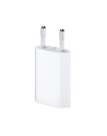 APPLE 5W USB POWER ADAPTER (EU)-ZML - nr 1