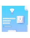 TPLINK Tapo P100(1-pack) TP-Link Tapo P100 - nr 36