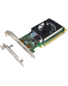 LENOVO NVIDIA GeForce GT730 2GB DUAL DP GRPAHICS CARD Perfectus (P) - nr 1