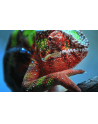 EPSON V11H959040 Projector EPSON EH-TW7100 HC, 4K PRO-UHD enhancement, 3000 lumen,100,000:1 - nr 60