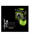 gainward europe GAINWARD 426018336-3576 GAINWARD GeForce GT 710, 2GB DDR3 (Bit), HDMI, DVI, HEAT SINK - nr 1