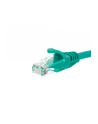 NETRACK BZPAT0P56G Netrack patchcord RJ45, osłonka zalewana, kat. 6 UTP, 0.5m zielony - nr 1