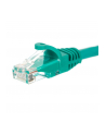 NETRACK BZPAT0P56G Netrack patchcord RJ45, osłonka zalewana, kat. 6 UTP, 0.5m zielony - nr 9