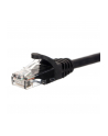 NETRACK BZPAT0P56K Netrack patchcord RJ45, osłonka zalewana, kat. 6 UTP, 0.5m czarny - nr 9