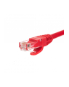 NETRACK BZPAT0P56R Netrack patchcord RJ45, osłonka zalewana, kat. 6 UTP, 0.5m czerwony - nr 2