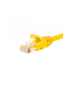 NETRACK BZPAT0P56Y Netrack patchcord RJ45, osłonka zalewana, kat. 6 UTP, 0.5m żółty - nr 1