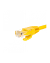 NETRACK BZPAT0P56Y Netrack patchcord RJ45, osłonka zalewana, kat. 6 UTP, 0.5m żółty - nr 2