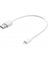 SANDBERG 441-19 Sandberg Kabel USB - Lightning MFI 0.2m - nr 9