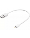 SANDBERG 441-19 Sandberg Kabel USB - Lightning MFI 0.2m - nr 4