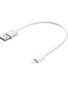 SANDBERG 441-19 Sandberg Kabel USB - Lightning MFI 0.2m - nr 5