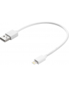 SANDBERG 441-19 Sandberg Kabel USB - Lightning MFI 0.2m - nr 6