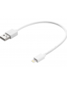 SANDBERG 441-19 Sandberg Kabel USB - Lightning MFI 0.2m - nr 7