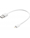 SANDBERG 441-19 Sandberg Kabel USB - Lightning MFI 0.2m - nr 8