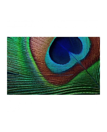 EPSON V11H961040 Projektor EPSON EH-TW7000 HC, 4K4K PRO-UHD enhancement, 3000 lumen,40,000:1