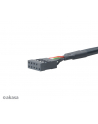 AKASA AK-CBUB19-10BK Akasa Adapter USB 3.0 - USB 2.0, Kabel 10cm - nr 3