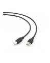 GEMBIRD CCP-USB2-AMBM-1M Gembird AM-BM kabel USB 2.0 1M czarny Niklowane końce (kabel drukarkowy ) - nr 1