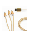 GEMBIRD CC-USB2-AM31-1M-G Gembird kabel USB 3w1 do ładowania micro USB/USB-C/8-pin, złoty, 1m - nr 1