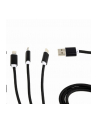 GEMBIRD CC-USB2-AM31-1M Gembird kabel USB 3w1 do ładowania micro USB/USB-C/8-pin, czarny, 1m - nr 1