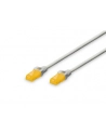 DIGITUS DK-1512-005/WH DIGITUS Kabel patch cord UTP, CAT.5E, biały, 0.5m, 15 LGW - nr 5