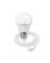 ESPERANZA ELL170 - 5901299940556 ESPERANZA ELL170 - Żarówka LED USB 5W - nr 1