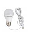 ESPERANZA ELL170 - 5901299940556 ESPERANZA ELL170 - Żarówka LED USB 5W - nr 2
