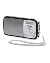 technisat TCS 0002/3922 TECHNIRADIO RDR, srebrny - nr 17