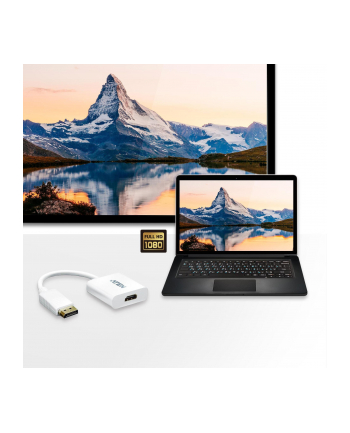 ATEN VC985-AT ATEN VC985 DisplayPort to HDMI Adapter