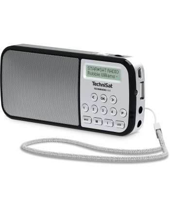 technisat TCS 0002/3922 TECHNIRADIO RDR, srebrny