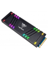 patriot memory PATRIOT VPR100-2TBM28H Patriot Viper VPR100 RGB SSD 2TB M.2 PCIe x4, 3300/2900 Mb/s - nr 21