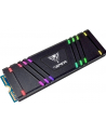 patriot memory PATRIOT VPR100-2TBM28H Patriot Viper VPR100 RGB SSD 2TB M.2 PCIe x4, 3300/2900 Mb/s - nr 2