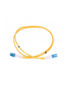 EXTRALINK ex.2923 EXTRALINK PATCHCORD SM LC/UPC-LC/UPC DUP 3.0MM 1M - nr 1