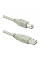 QOLTEC 50392 Qoltec Kabel USB 2.0 A męski USB B męski 5m - nr 1