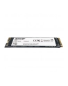 patriot memory PATRIOT SSD P300 1TB M.2 PCIe Gen 3 x4 2100/1650MB/s - nr 20
