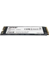 patriot memory PATRIOT SSD P300 256GB M.2 PCIe Gen 3 x4 1700/1100 MB/s - nr 12