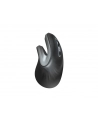 trust Mysz bezprzewodowa Verro Ergonomic - nr 22
