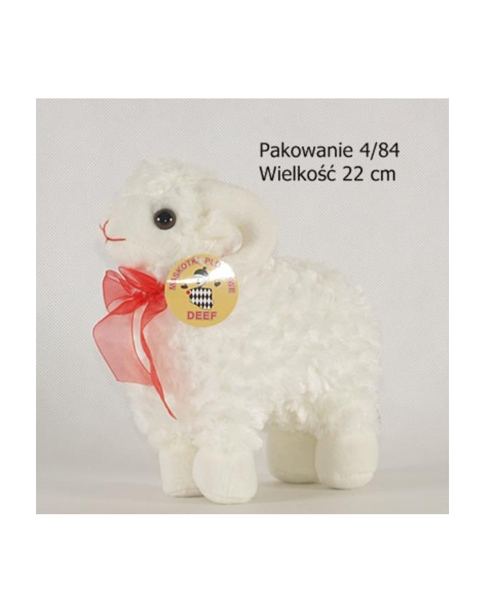 Baranek średni 03596  DEEF główny