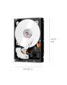 western digital Dysk WD Red Pro 10TB 3,5 256 MB SATA 7200rp WD102KFBX - nr 13