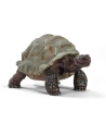 Schleich Wild Life Giant Tortoise - 14824 - nr 2