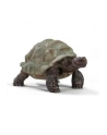 Schleich Wild Life Giant Tortoise - 14824 - nr 3