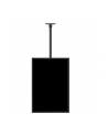 HAGOR M Ceilingmount Large Single, Ceiling Mount (Black) - nr 7
