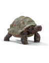 Schleich Wild Life Giant Tortoise - 14824 - nr 1