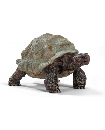 Schleich Wild Life Giant Tortoise - 14824