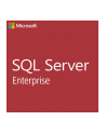 microsoft MS OPEN-GOV SQLSvrEntCore 2019 OLP 2Lic NL Gov CoreLic Qlfd - nr 5