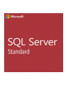 microsoft MS OPEN-CHA SQLSvrStdCore 2019 SNGL OLP 2Lic NL Chrty CoreLic Qlfd - nr 4